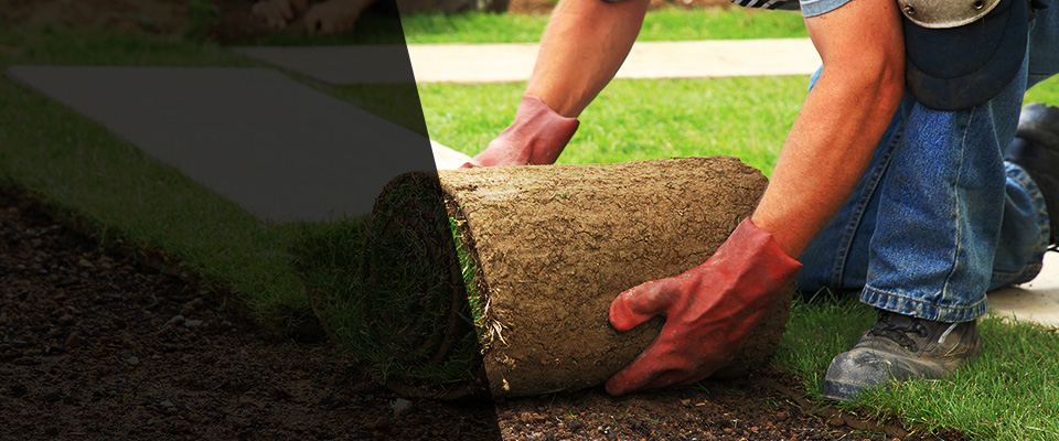 Sylvania Landscapers